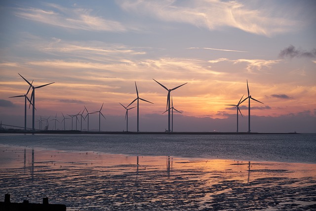 How the Right Energy Supplier Can Save You Money - Green Energy Windfarm